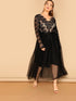 Plus Lace Bodice Mesh Hem Dress